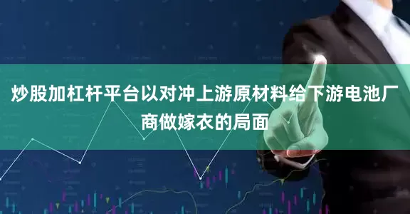 炒股加杠杆平台以对冲上游原材料给下游电池厂商做嫁衣的局面